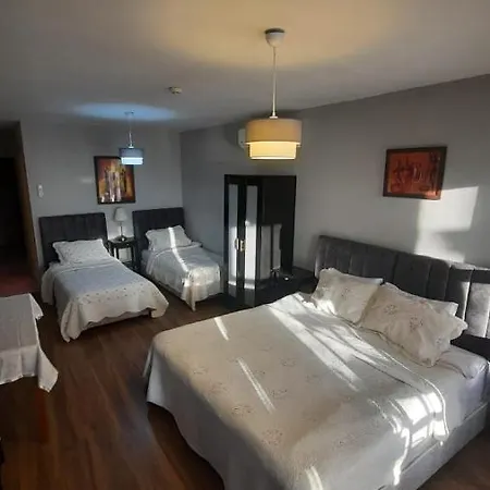 Galata Life Provincia di Istanbul